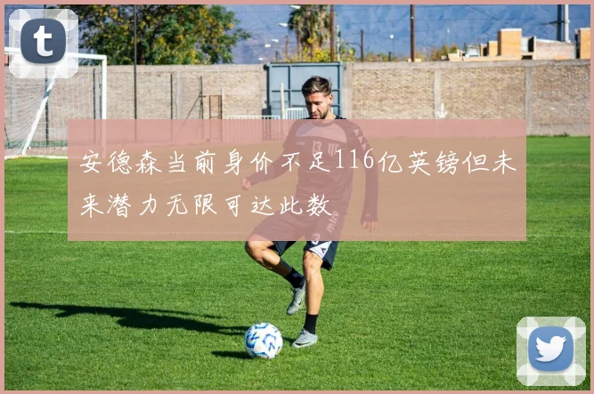 安德森当前身价不足116亿英镑但未来潜力无限可达此数